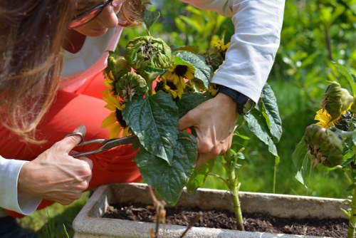 Person using assistive technology outdoors in the Gardeners Hayes area